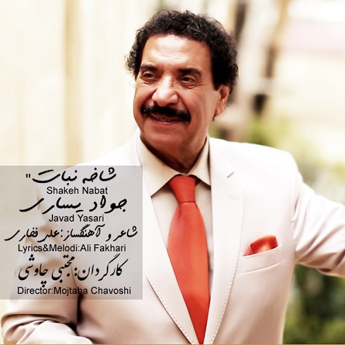 دانلود آهنگ شاخه نبات